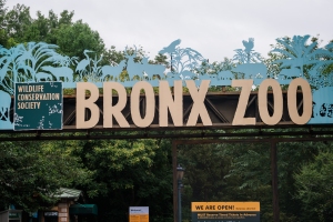 Bronx Zoo 