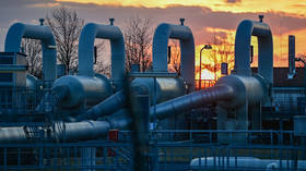 Costs to Germany of Russian gas freeze estimated