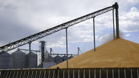 Wheat prices to surge as Ukraine’s harvest shrinks – official