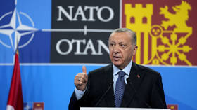 Turkey may still ‘freeze’ NATO expansion – Erdogan