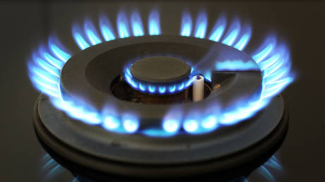 A burning hob of a gas cooker. © AFP / Daniel Roland