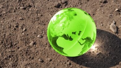 Madeleine-Thomson-Climate-science