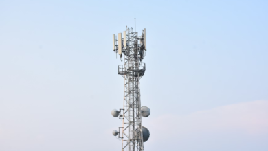 Wholesale Voice Services: What Carriers Should Look for in a Reliable Provider