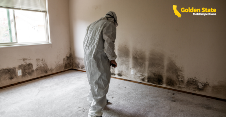 What Mold Inspectors Learn From Comparing Humidity Trends Across Los Angeles Zip Codes