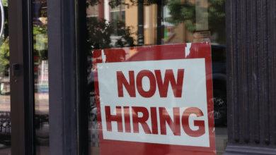 The Role of Pre Employment Screening Services in Building a Reliable Workforce