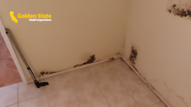 Can Mold Toxicity Cause High CRP?