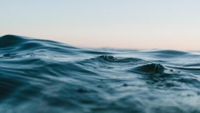 The Wedge: The Freak Wave Phenomenon of Newport Beach