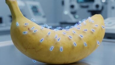 Nano Banana